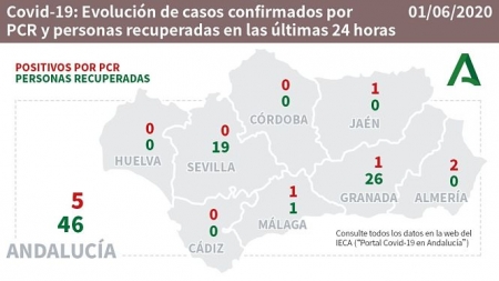 Evolución diaria de la pandemia en Andalucía (CONSEJERÍA DE SALUD) 