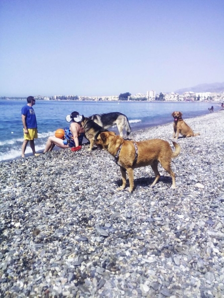 Playa Can en Motril (AYTO. MOTRIL /ARCHIVO) Playa Can en Motril (AYTO. MOTRIL /ARCHIVO)