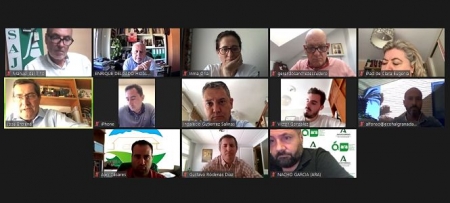 Imagen de la reunión TELEMÁTICA (PSOE) 