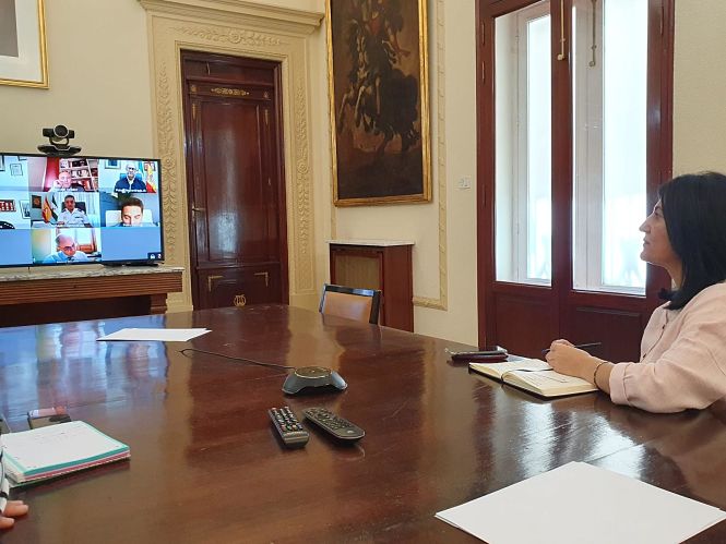 Reunión telemática entre Subdelegación y Junta (SUBDELEGACIÓN) 