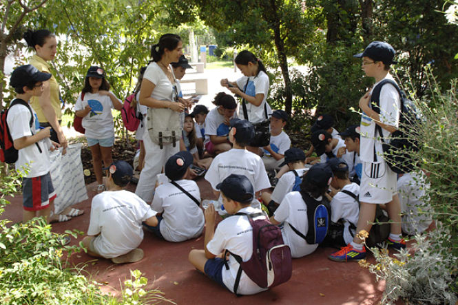 Edición anterior de `Verano con Ciencia` (PARQUE DE LAS CIENCIAS) 
