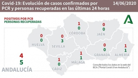 Evolución diaria de la pandemia en Andalucia (CONSEJERIA DE SALUD)
