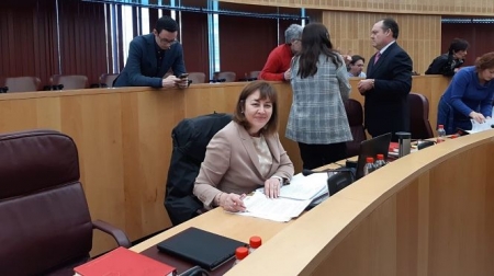 La diputada provincial de Vox en Granada, Cristina Jiménez (VOX GRANADA)