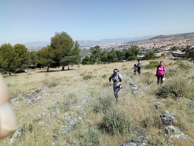 Vecinos de Monachil en tareas de reforestación (AYTO. MONACHIL)