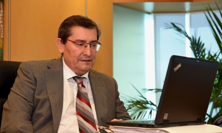 José Entrena durante la reunión telemática (R. MARTÍNEZ / DIPUTACIÓN)