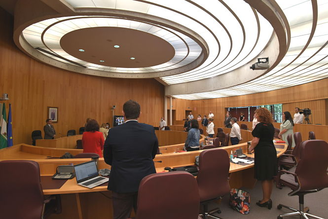 Antes del inicio del pleno se guardó un minuto de silencio por las víctimas del Covid-19 (DIPUTACIÓN) 