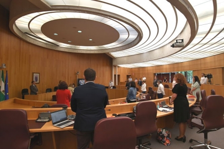 Antes del inicio del pleno se guardó un minuto de silencio por las víctimas del Covid-19 (DIPUTACIÓN) 