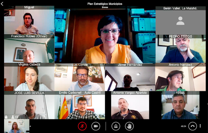 Imagen de la reunión telemática (DIPUTACIÓN) 