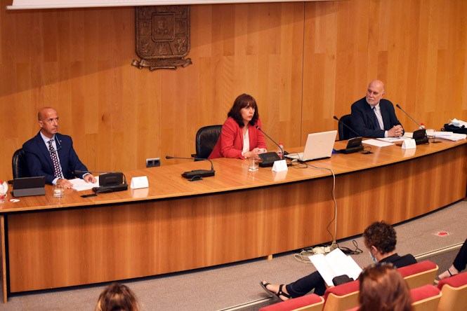 Reunión informativa sobre el Ingreso Mínimo Vital (R. MARTÍNEZ /DIPGRA) 