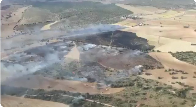 Lugar donde se ha producido el incendio (PLAN INFOCA) 