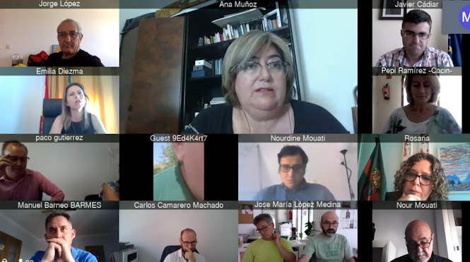Imagen de la reunión telemática (DIPUTACIÓN) 