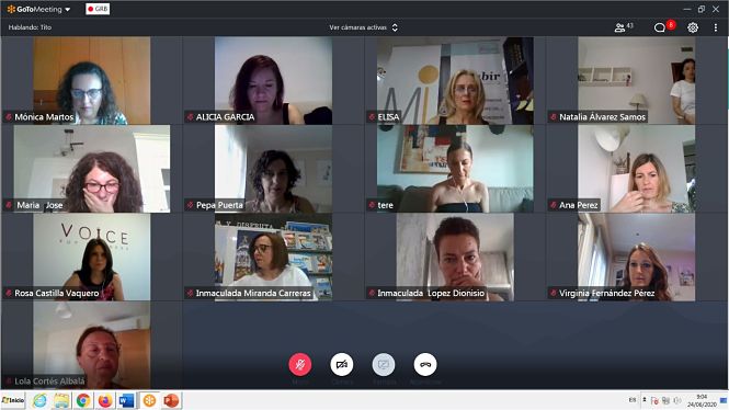 Imagen del encuentro virtual (JUNTA)