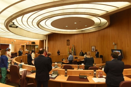 Pleno de la Diputación de Granada (DIPUTACIÓN)