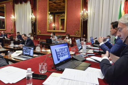 Pleno del Ayuntamiento de Granada (JAVIER ALGARRA / AYUNTAMIENTO)