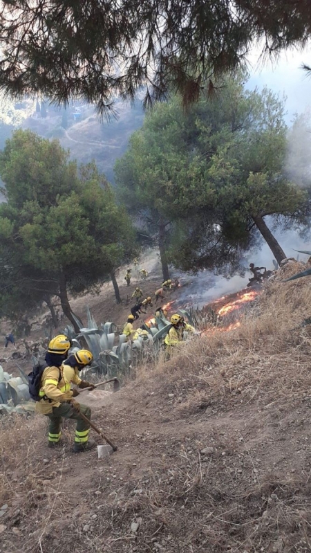Bomberos del Infoca en el incendio de Sacromonte (INFOCA)