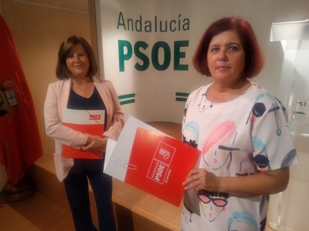 María José Sánchez Rubio y Elvira Ramón en rueda de prensa (PSOE)