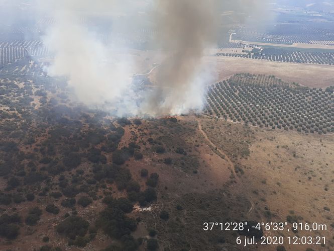 Lugar donde se ha producido el incendio (INFOCA) 