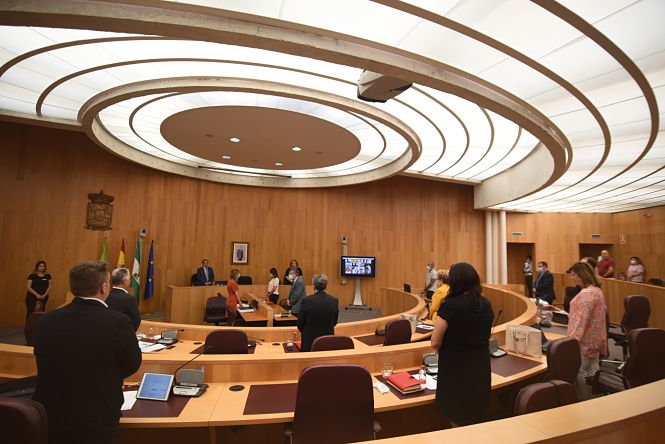 Pleno extraordinario de Diputación (MIGUEL ANGEL MUÑOZ) 