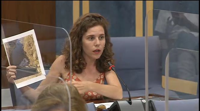 Ana Villaverde durante la sesión parlamentaria (ADELANTE) 