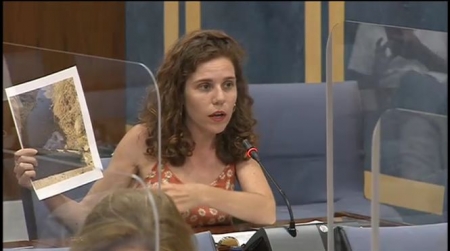 Ana Villaverde durante la sesión parlamentaria (ADELANTE) 