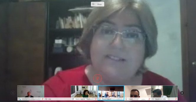 Ana Muñoz, durante una reunión telemática (DIPUTACIÓN) 