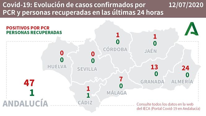 Evolución diaria de la pandemia en Andalucia (CONSEJERÍA DE SALUD)