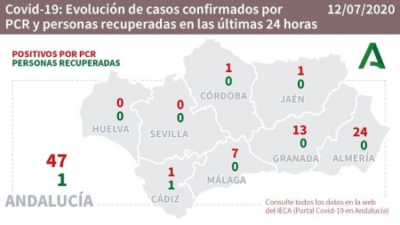Evolución diaria de la pandemia en Andalucia (CONSEJERÍA DE SALUD)