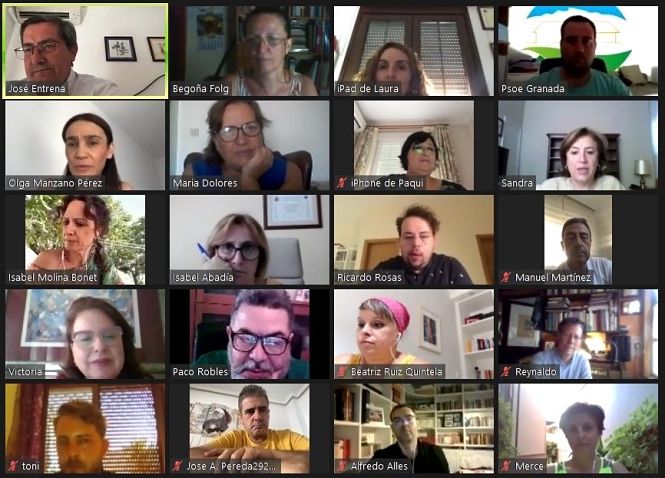 Reunión telemática de la Ejecutiva Provincial del PSOE de Granada (PSOE DE GRANADA)