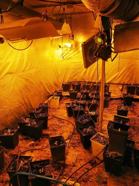 Plantación de marihuana en la cochera (AYTO. ALMUÑECAR) Plantación de marihuana en la cochera (AYTO. ALMUÑECAR)