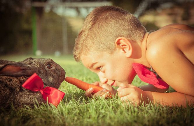 Una de las fotos ganadoras de ediciones anteriores (AYTO. MONTEFRIO)