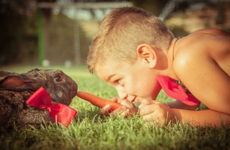 Una de las fotos ganadoras de ediciones anteriores (AYTO. MONTEFRIO)