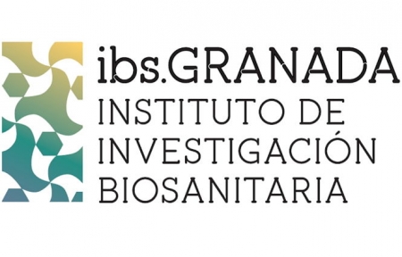 LOGO IBS