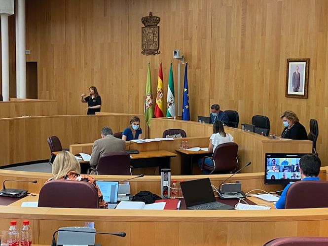 Pleno Ordinario de Diputación (DIPUTACIÓN) 