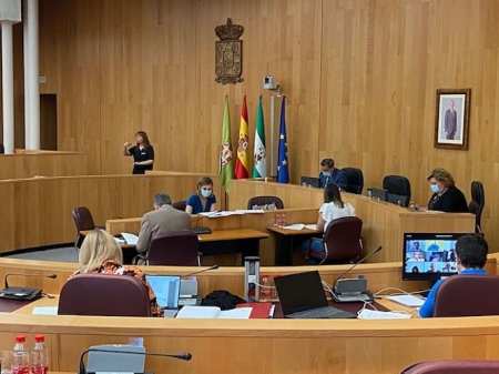 Pleno Ordinario de Diputación (DIPUTACIÓN) 