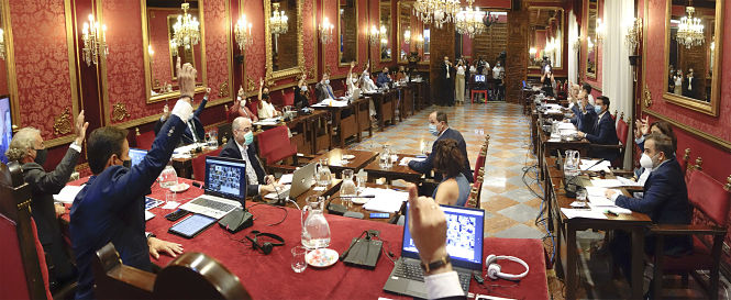 Pleno del Ayuntamiento de Granada (JAVIER ALGARRA / AYUNTAMIENTO) 