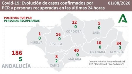 Evolución diaria de la pandemia en Andalucía (JUNTA DE ANDALUCÍA) 