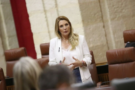 Concha Insúa, parlamentaria Andaluza de Ciudadanos (CS) 