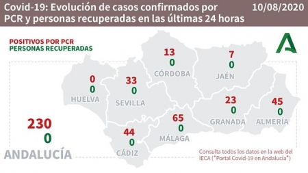 Evolución diaria de la pandemia en Andalucía (JUNTA DE ANDALUCÍA) 