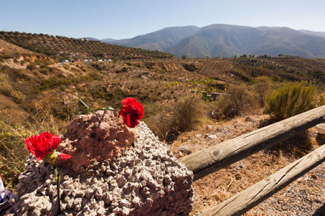 Barranco de El Carrizal (ASOCIACIÓN 14 DE ABRIL)
