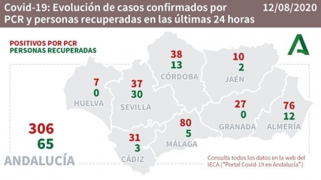Evolución diaria de la pandemia en Andalucía (JUNTA DE ANDALUCÍA) Evolución diaria de la pandemia en Andalucía (JUNTA DE ANDALUCÍA)