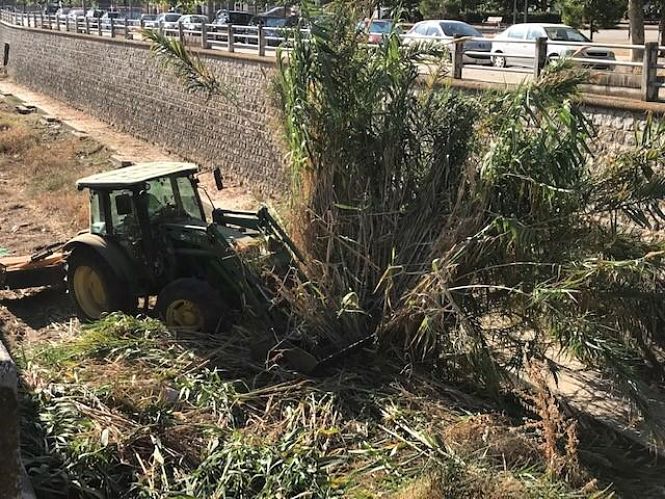 Labores de desbroce en una parcela (AYTO. GRANADA) 