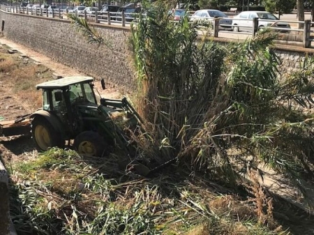 Labores de desbroce en una parcela (AYTO. GRANADA) 