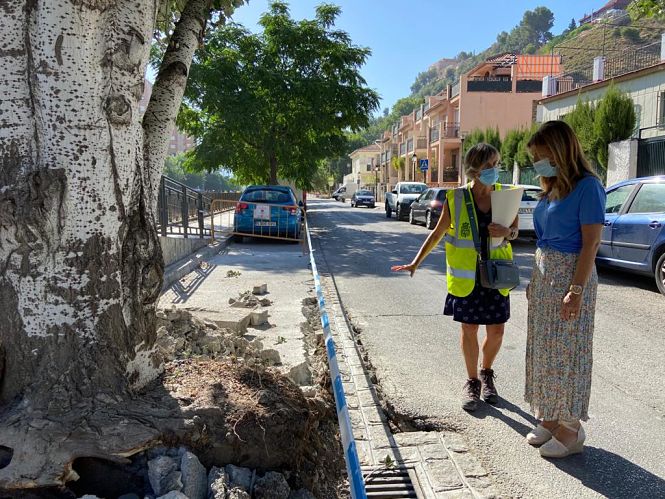 Eva Martín ha visitado las obras (AYTO. GRANADA)