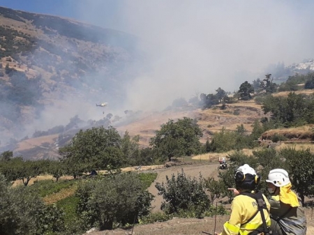 Incendio forestal en Bubión (BUBIÓN) Incendio forestal en Bubión (BUBIÓN)