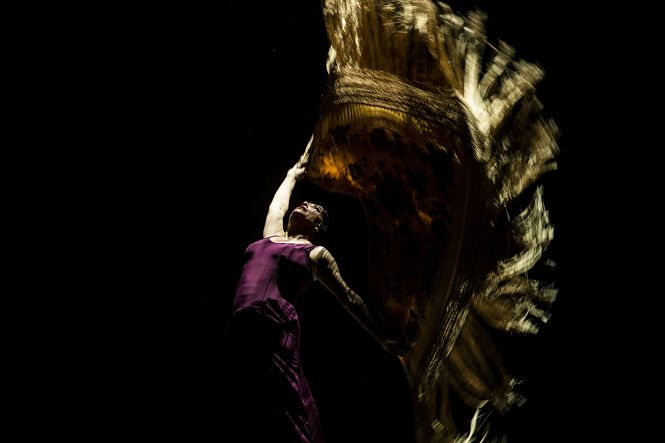 Imagen del espectáculo (JAVIER FERGO) 