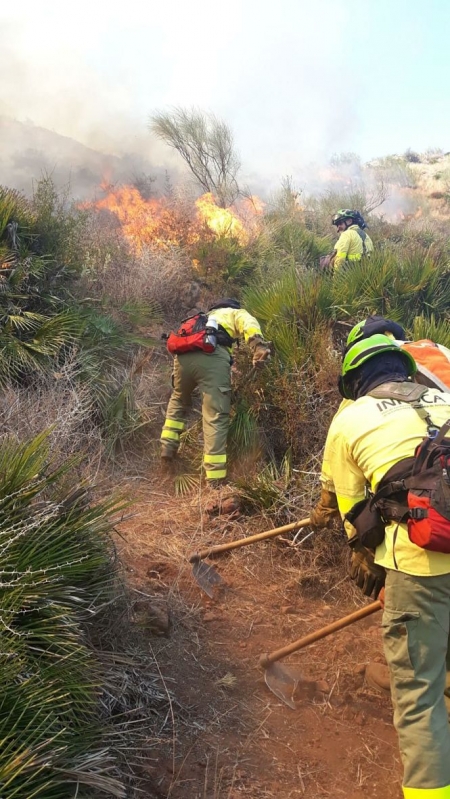 Bomberos del Infoca trabajando en un incendio (INFOCA /ARCHIVO) Bomberos del Infoca trabajando en un incendio (INFOCA /ARCHIVO)