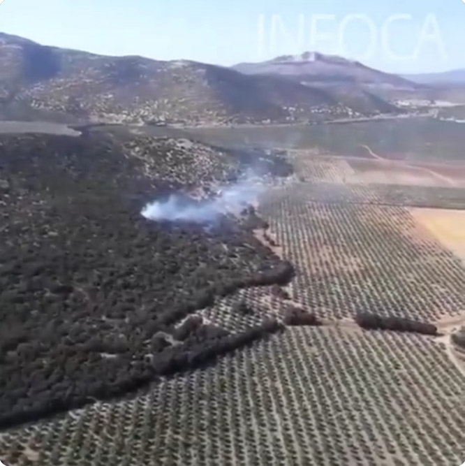 Imagen aérea del incendio de Iznalloz (PLAN INFOCA) 