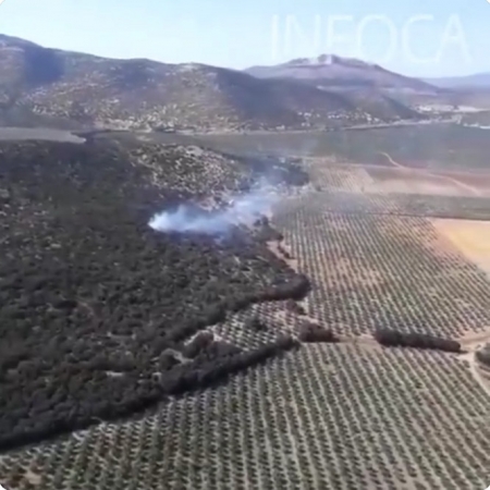 Imagen aérea del incendio de Iznalloz (PLAN INFOCA) 