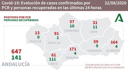 Evolución diaria de la pandemia en Andalucía (JUNTA DE ANDALUCÍA) 