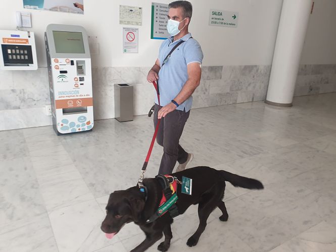 Un paciente con diabetes con su perro de asistencia sanitaria que le ayuda a detectar las bajadas de azúcar (HUSC)